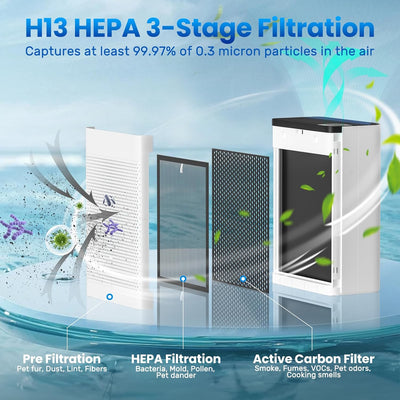 Heyaxa Air Purifiers