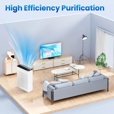 Heyaxa Air Purifiers