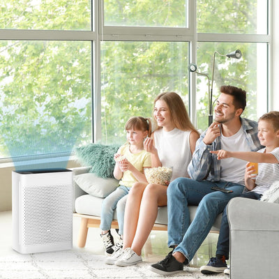 Heyaxa Air Purifiers